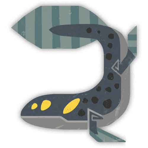 绯水攀鲈 绯水攀鲈