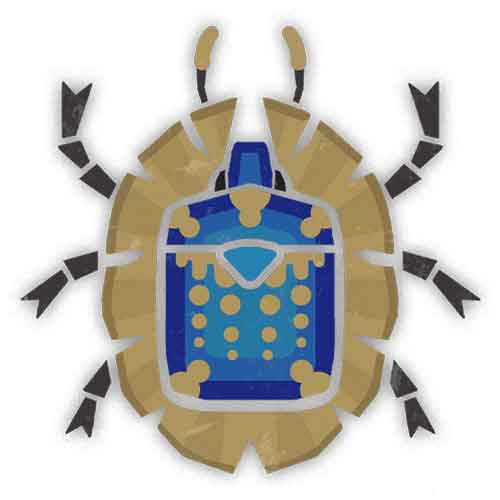 宝石金龟子 宝石金龟子